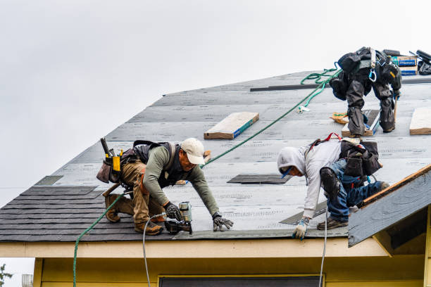 Professional Gutter Installation technician working in Welaka, FL